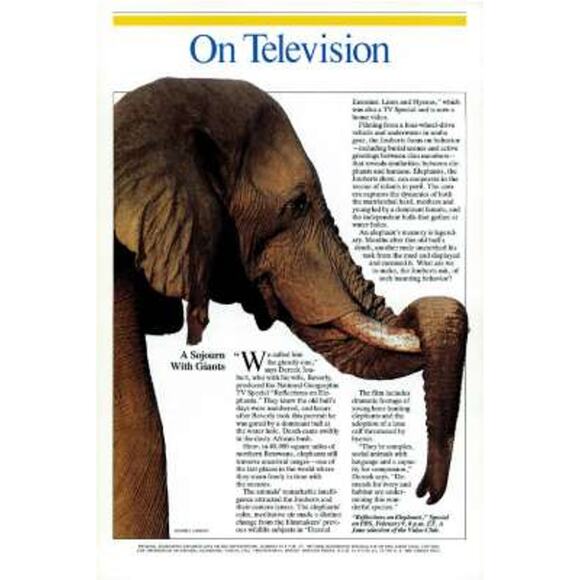 National Geographic Magazine FEB 1994 Canada Rivers, Federal Lands, Connecticut - Picture 10 of 15